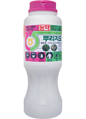 뿌리지오 입제