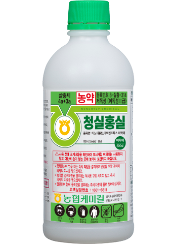 청실홍실 미탁제